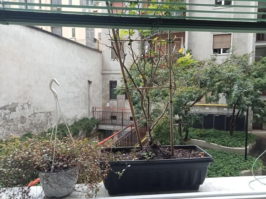 Il Grande Blu Apartment Milano Ngoại thất bức ảnh